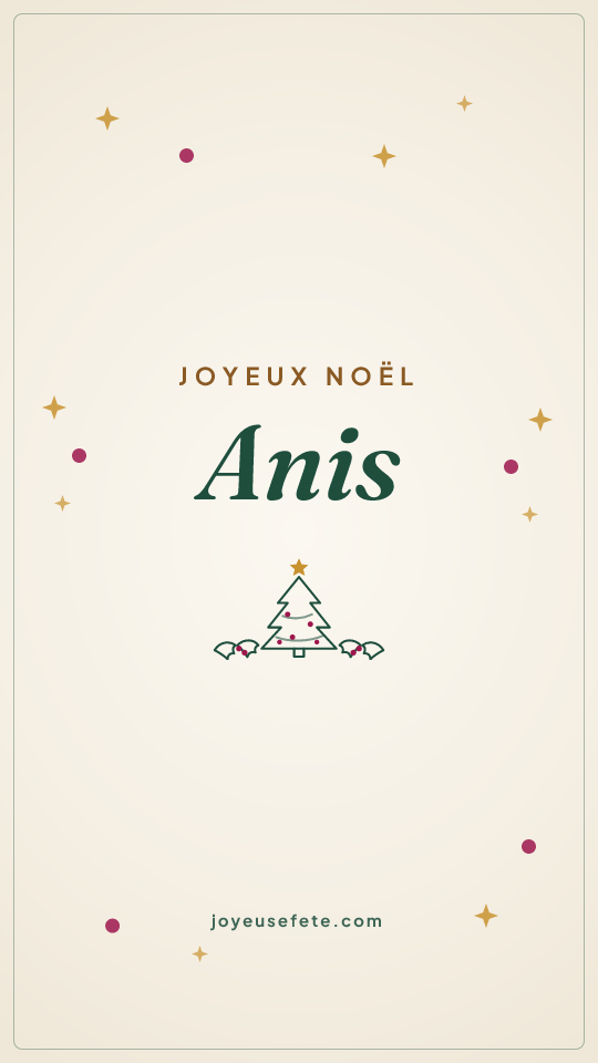 Image « Joyeux Noël Anis » au format story