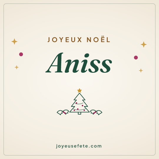Image carrée « Joyeux Noël Aniss » pour WhatsApp
