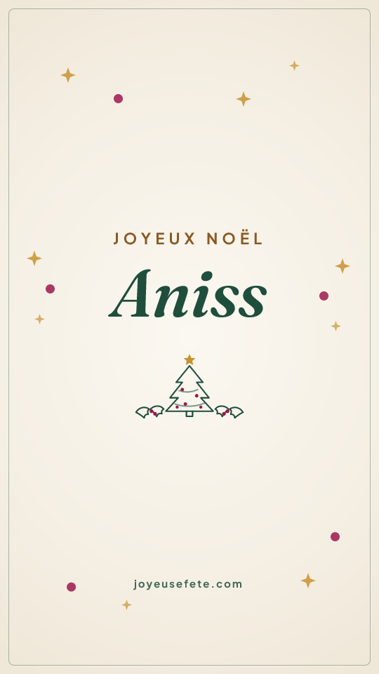 Image « Joyeux Noël Aniss » au format story