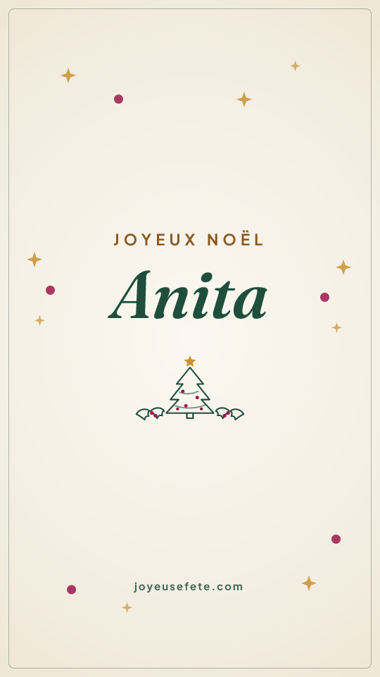 Image « Joyeux Noël Anita » au format story