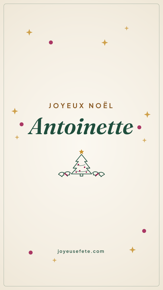 Image « Joyeux Noël Antoinette » au format story