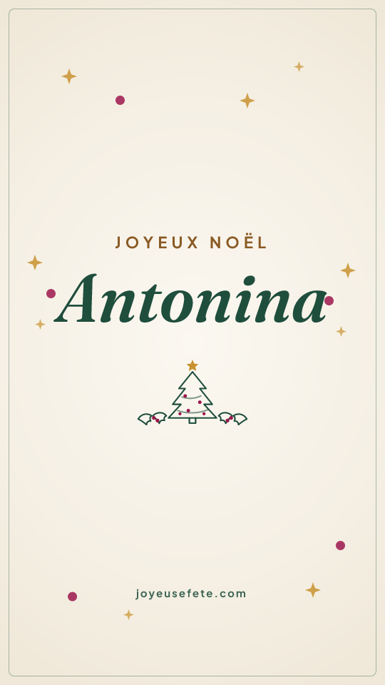 Image « Joyeux Noël Antonina » au format story