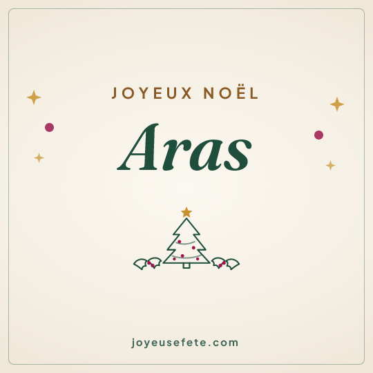 Image carrée « Joyeux Noël Aras » pour WhatsApp