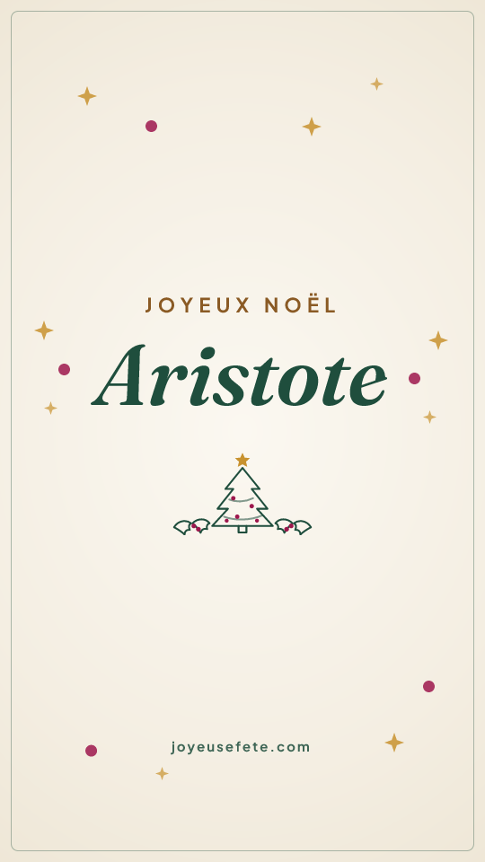 Image « Joyeux Noël Aristote » au format story