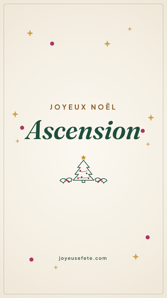 Image « Joyeux Noël Ascension » au format story
