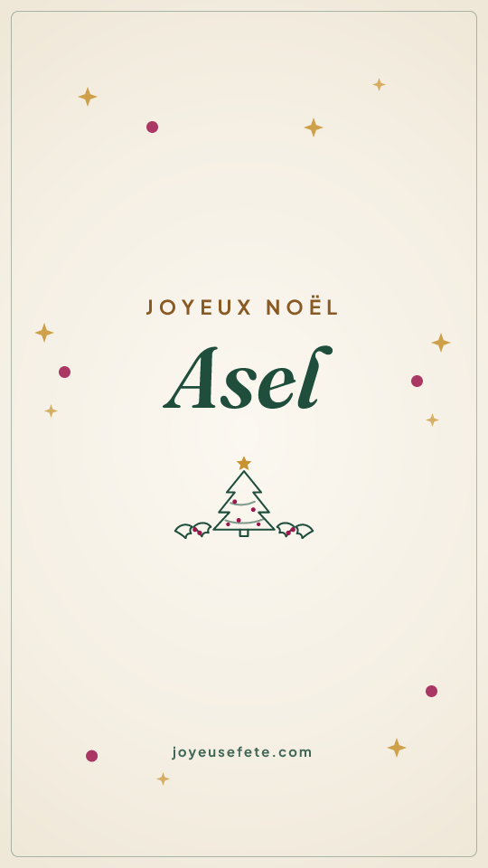 Image « Joyeux Noël Asel » au format story