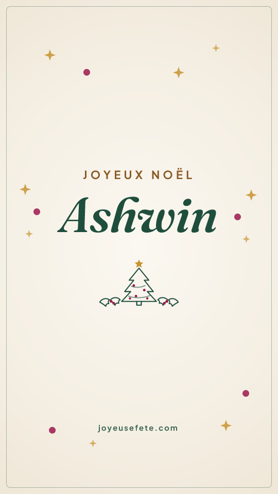 Image « Joyeux Noël Ashwin » au format story