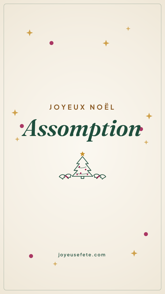 Image « Joyeux Noël Assomption » au format story