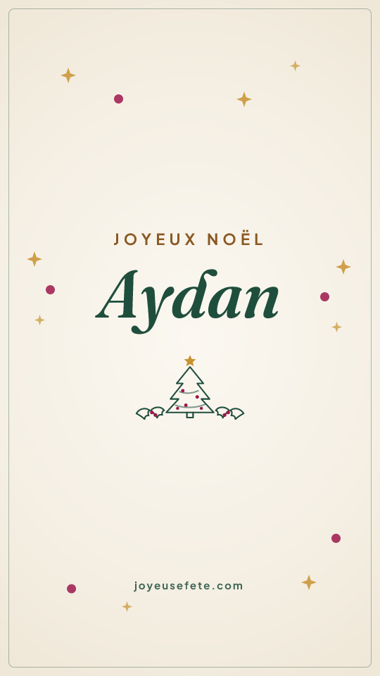 Image « Joyeux Noël Aydan » au format story
