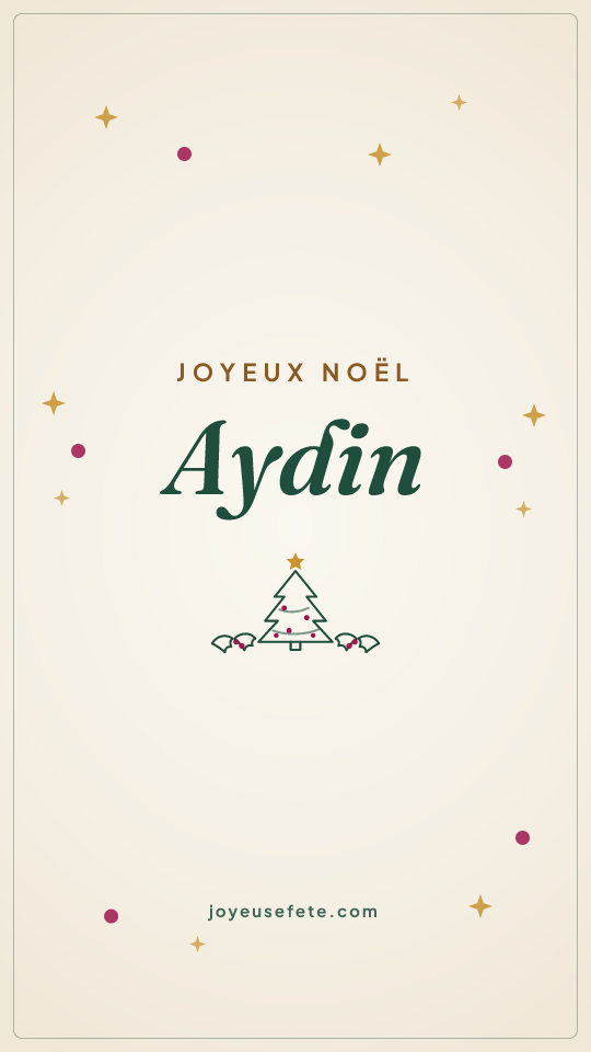 Image « Joyeux Noël Aydin » au format story