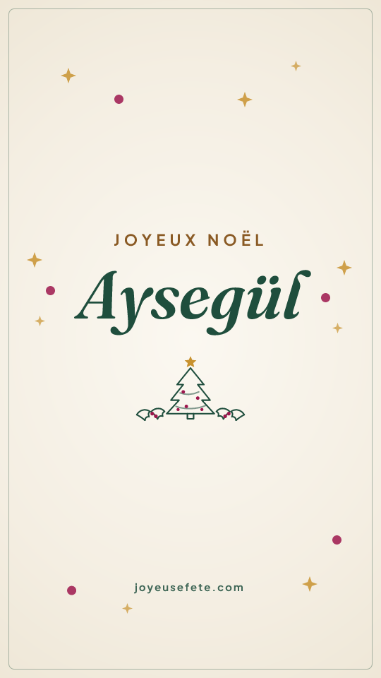 Image « Joyeux Noël Aysegül » au format story