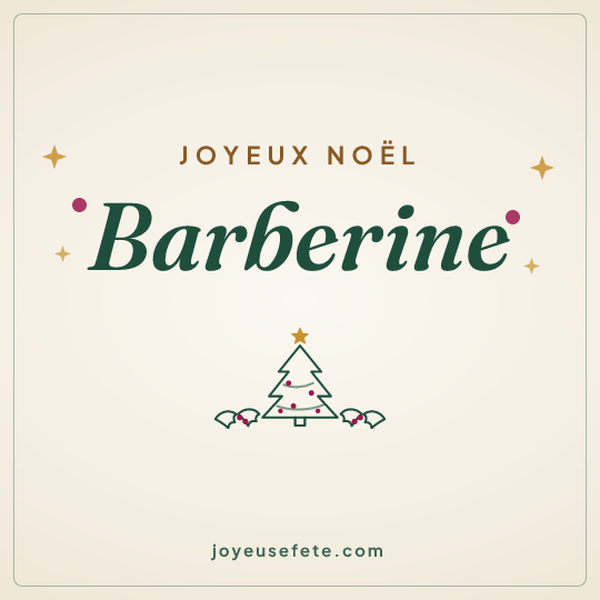 Image carrée « Joyeux Noël Barberine » pour WhatsApp