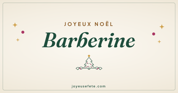 Image « Joyeux Noël Barberine » au format large