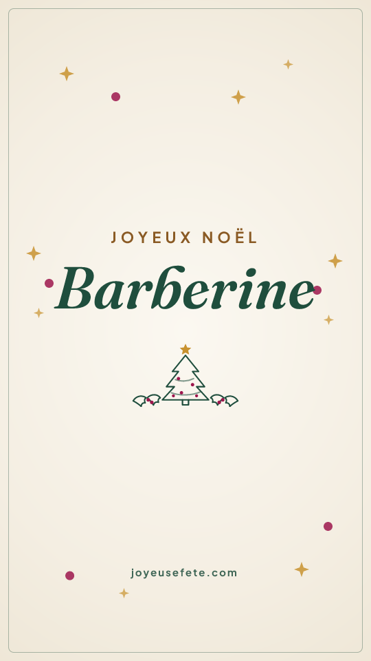 Image « Joyeux Noël Barberine » au format story