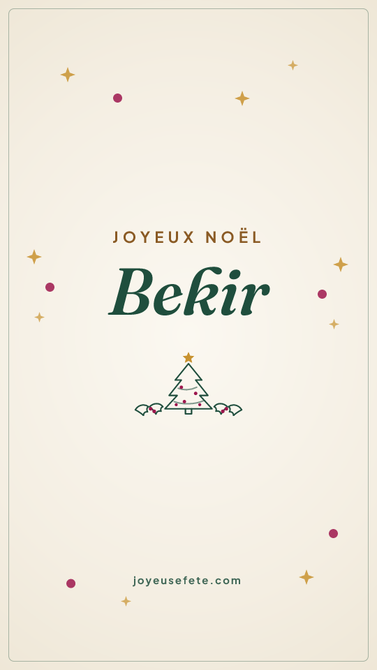 Image « Joyeux Noël Bekir » au format story