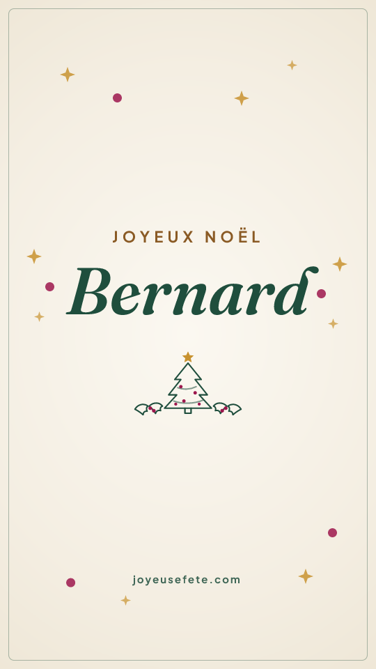 Image « Joyeux Noël Bernard » au format story