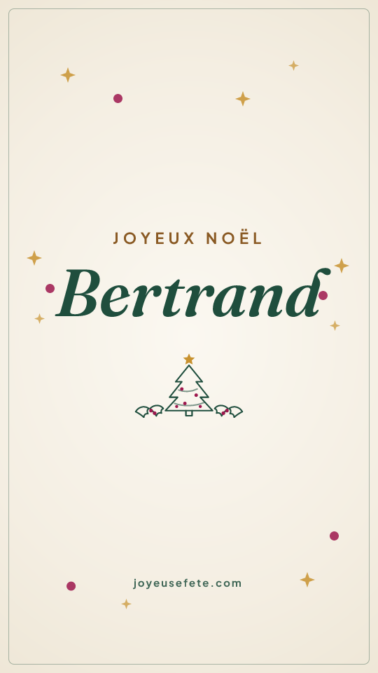 Image « Joyeux Noël Bertrand » au format story