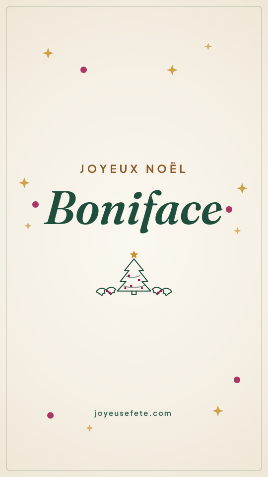 Image « Joyeux Noël Boniface » au format story