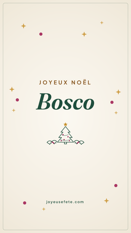 Image « Joyeux Noël Bosco » au format story