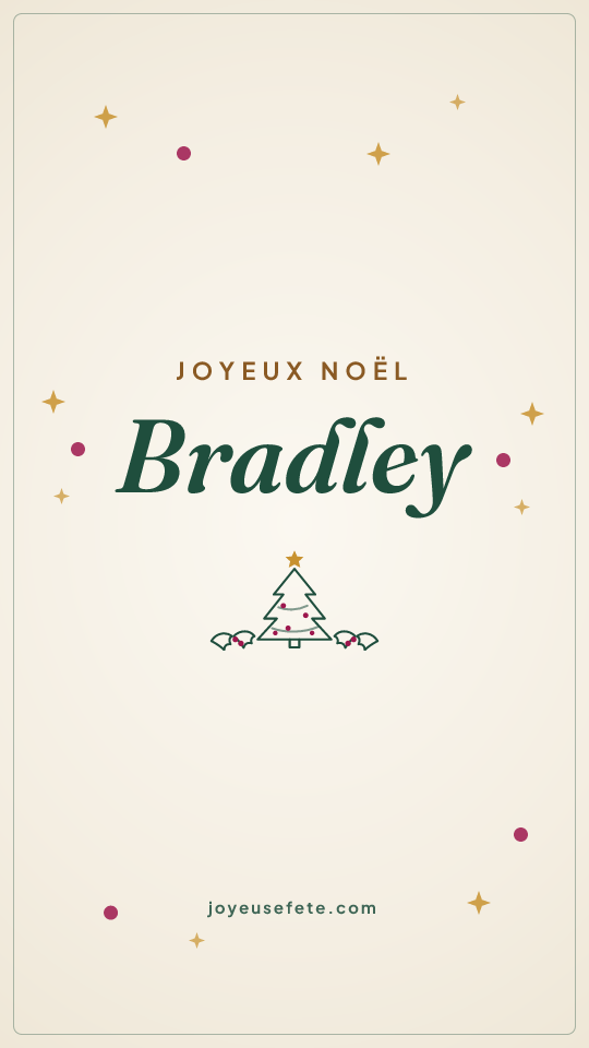 Image « Joyeux Noël Bradley » au format story