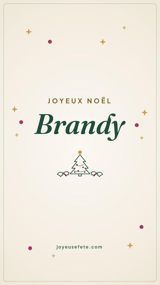 Image « Joyeux Noël Brandy » au format story