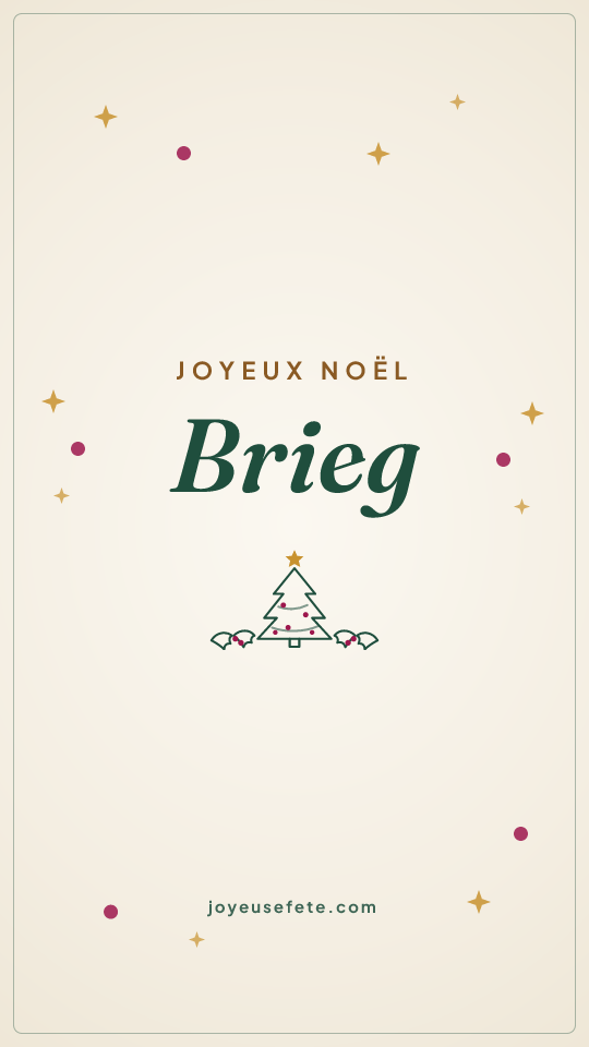 Image « Joyeux Noël Brieg » au format story