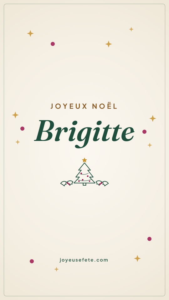 Image « Joyeux Noël Brigitte » au format story