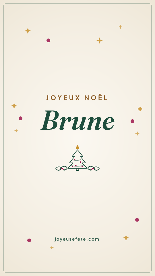 Image « Joyeux Noël Brune » au format story