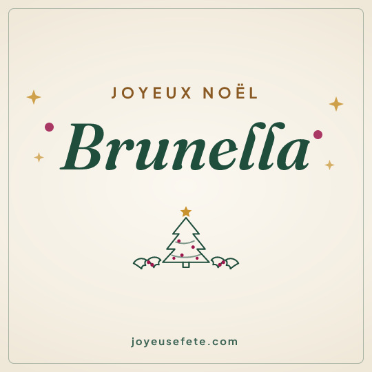 Image carrée « Joyeux Noël Brunella » pour WhatsApp