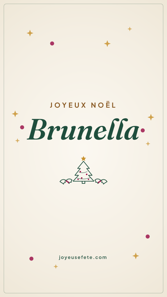 Image « Joyeux Noël Brunella » au format story