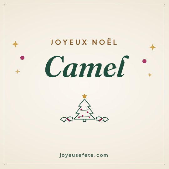 Image carrée « Joyeux Noël Camel » pour WhatsApp