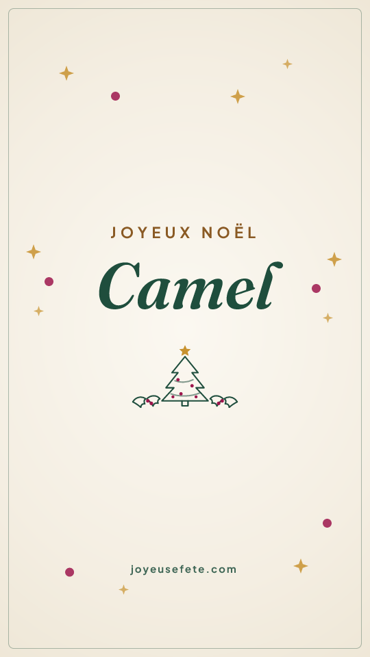 Image « Joyeux Noël Camel » au format story