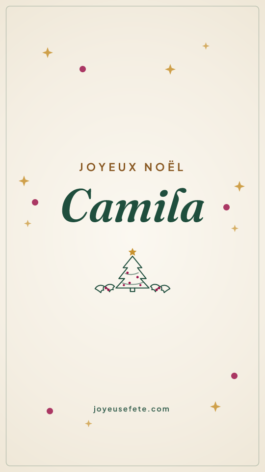 Image « Joyeux Noël Camila » au format story