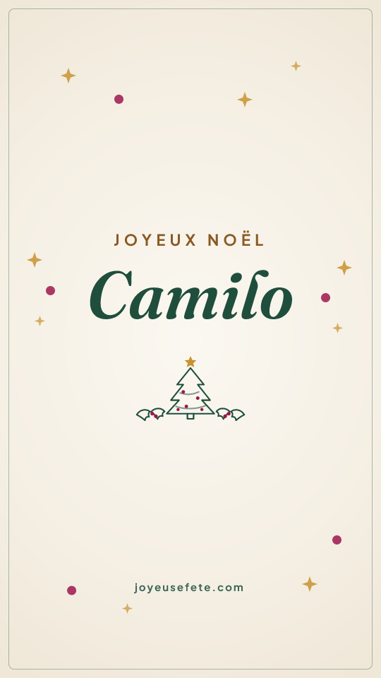 Image « Joyeux Noël Camilo » au format story