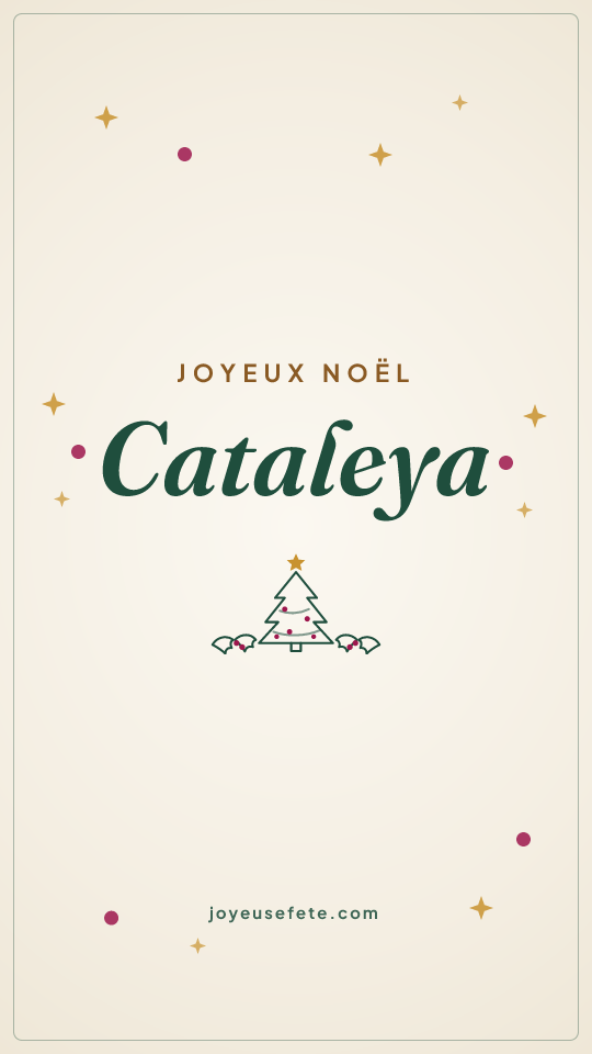 Image « Joyeux Noël Cataleya » au format story