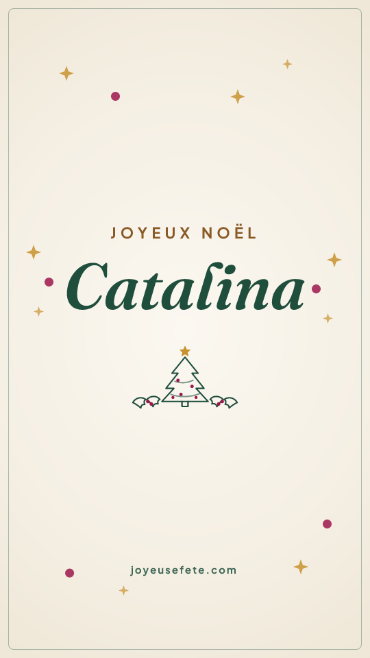 Image « Joyeux Noël Catalina » au format story