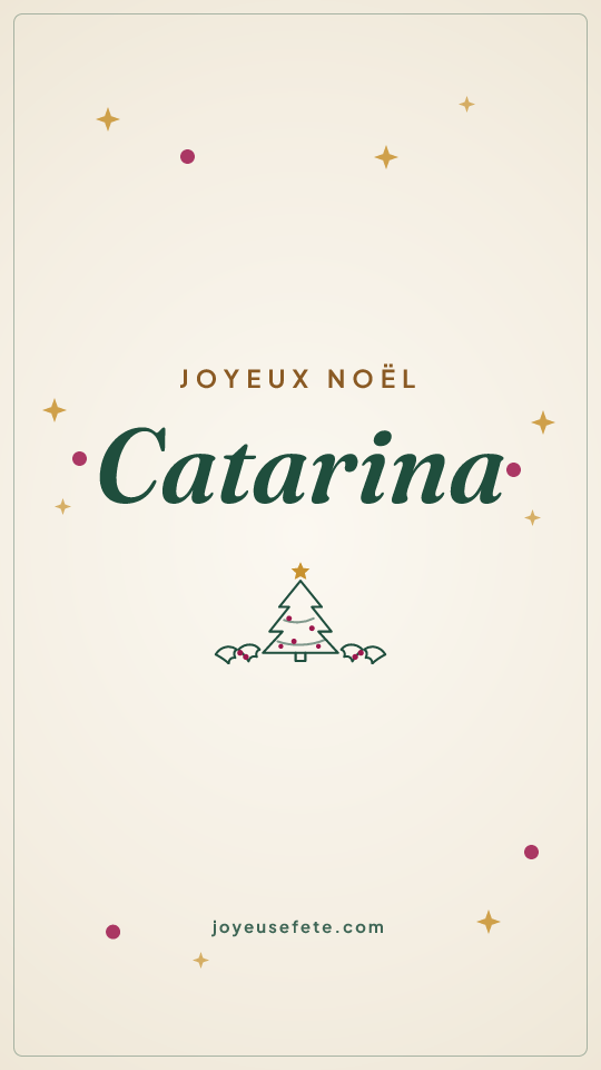 Image « Joyeux Noël Catarina » au format story