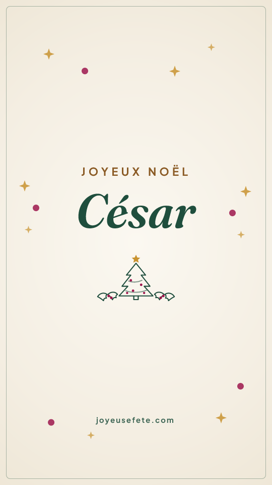 Image « Joyeux Noël César » au format story