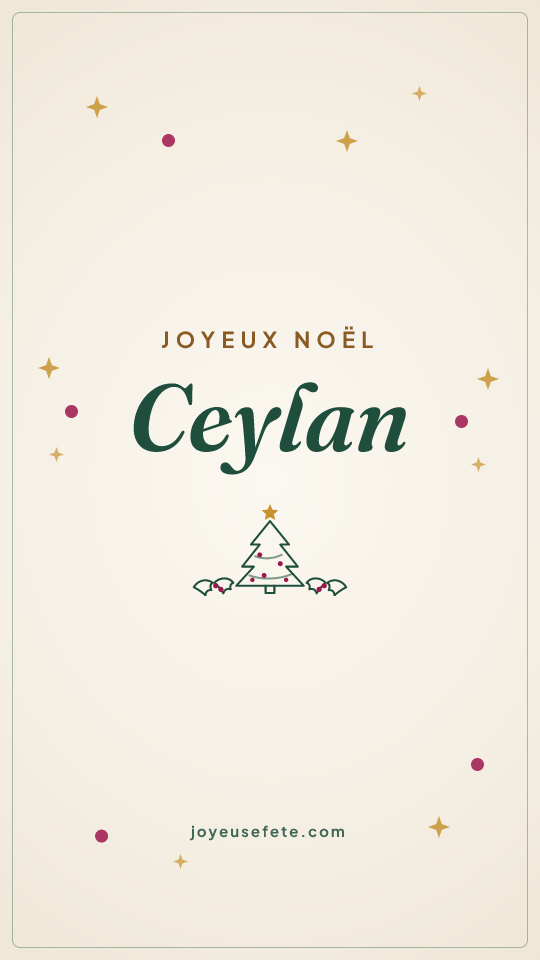 Image « Joyeux Noël Ceylan » au format story