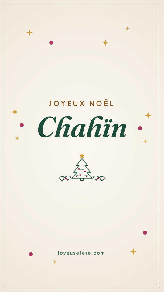 Image « Joyeux Noël Chahïn » au format story