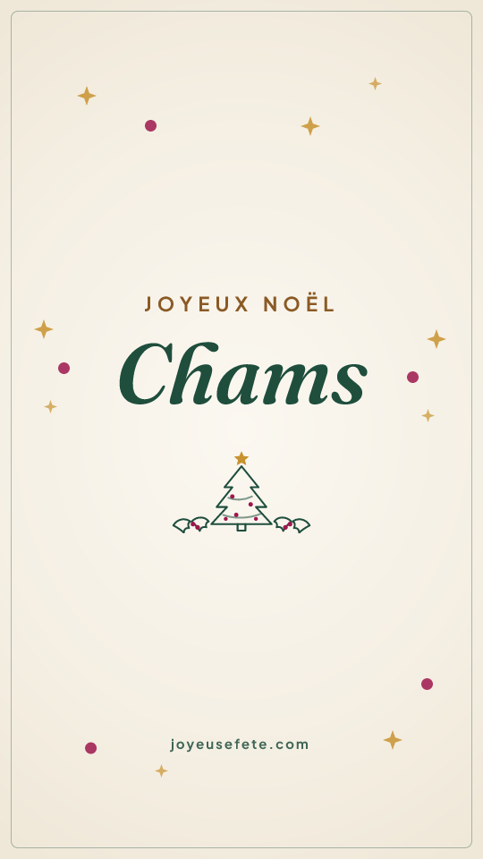 Image « Joyeux Noël Chams » au format story