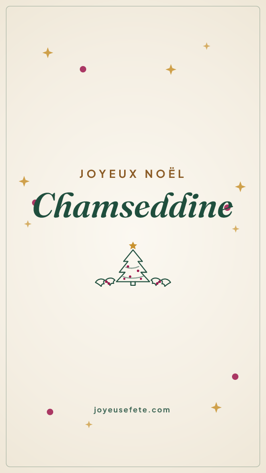 Image « Joyeux Noël Chamseddine » au format story