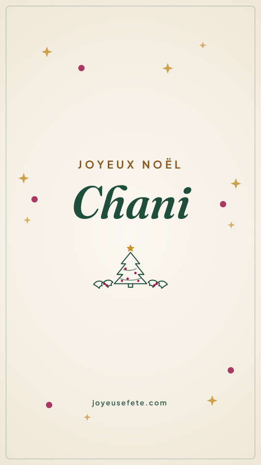 Image « Joyeux Noël Chani » au format story