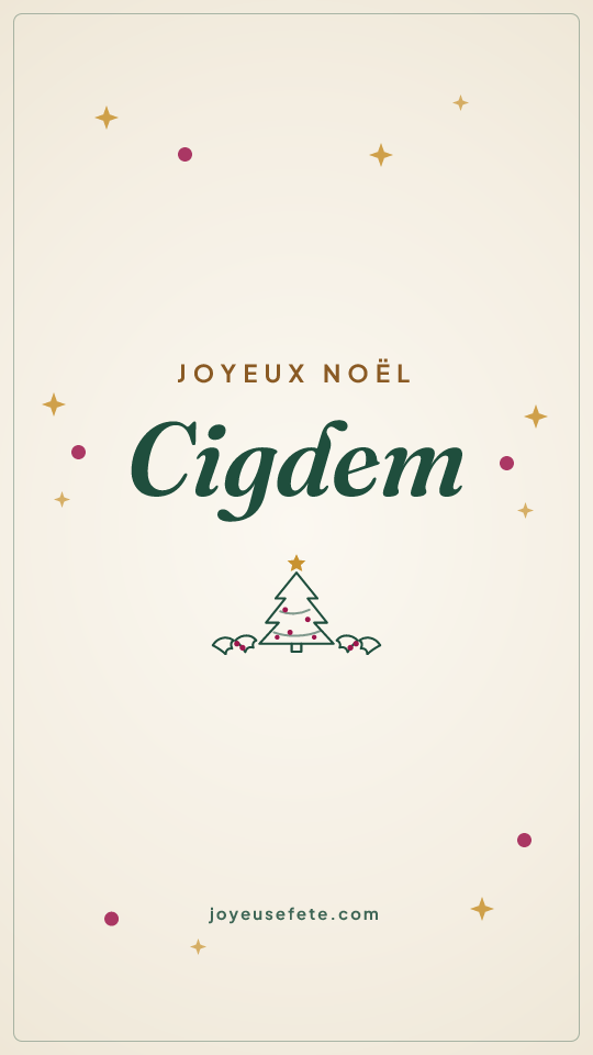 Image « Joyeux Noël Cigdem » au format story