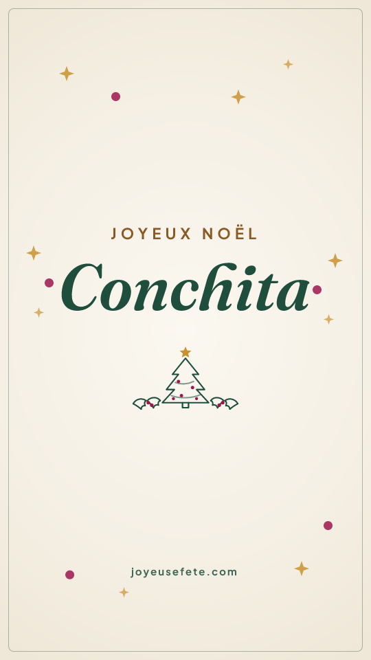 Image « Joyeux Noël Conchita » au format story