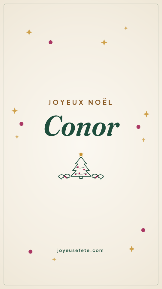 Image « Joyeux Noël Conor » au format story