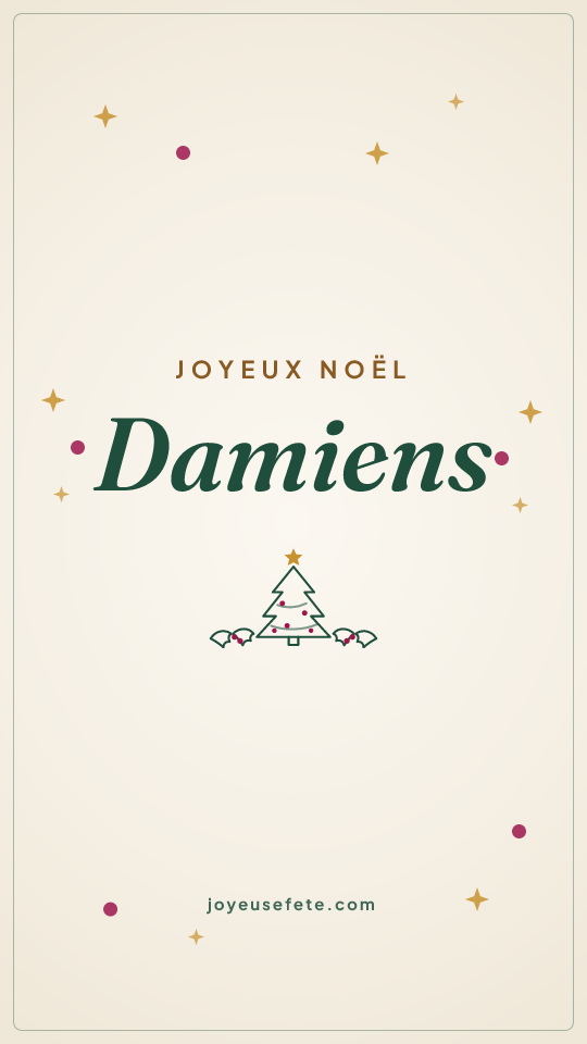 Image « Joyeux Noël Damiens » au format story