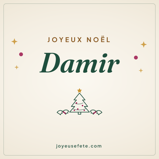 Image carrée « Joyeux Noël Damir » pour WhatsApp