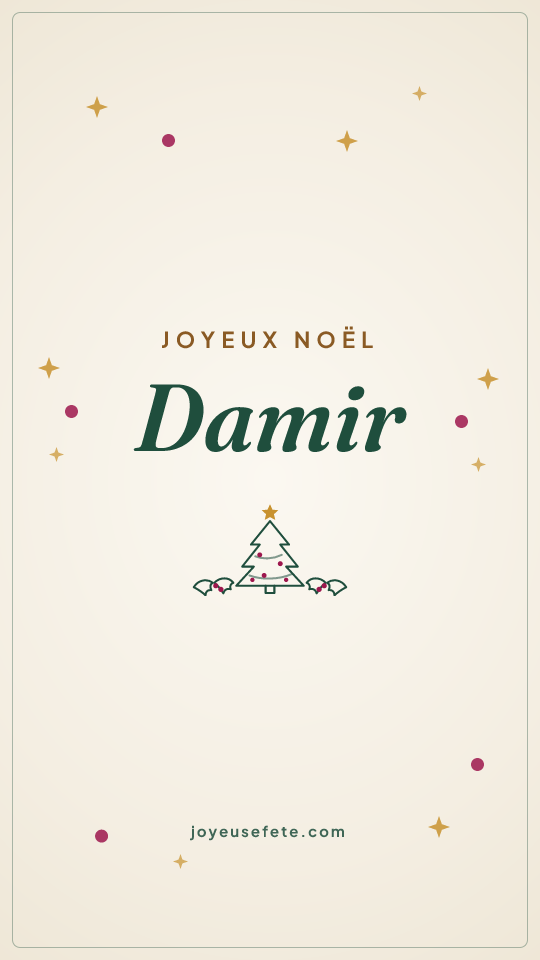 Image « Joyeux Noël Damir » au format story