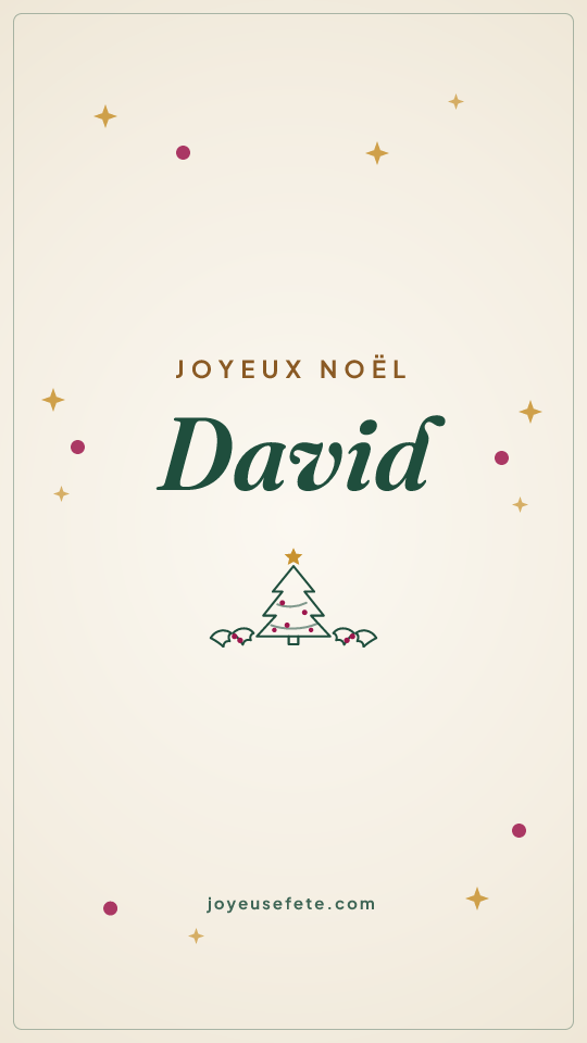 Image « Joyeux Noël David » au format story